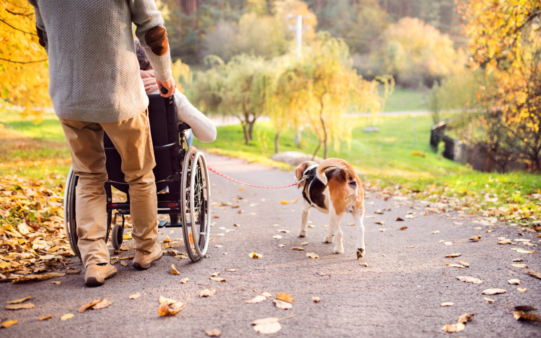 Mission Health + Home discusses accessible autumn activities to enjoy in Rochester, NY.